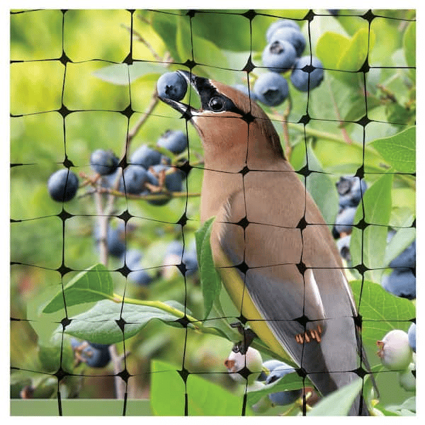 Greenscapes 46658 Bird Netting