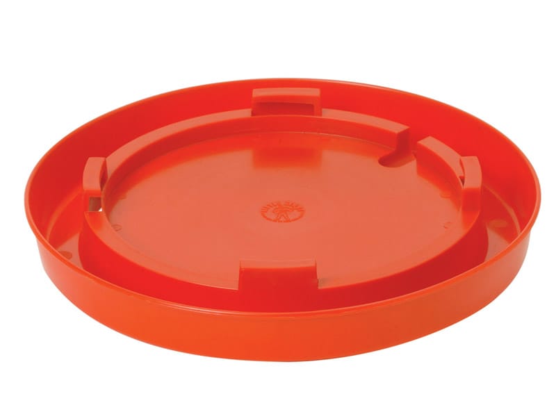 Little Giant 780 128 oz Water Base For Poultry