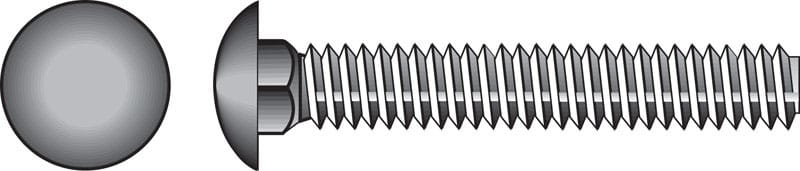 Hillman 0832514 1/4 in. X 1-1/2 in. L Stainless Steel Carriage Bolt 50 pk