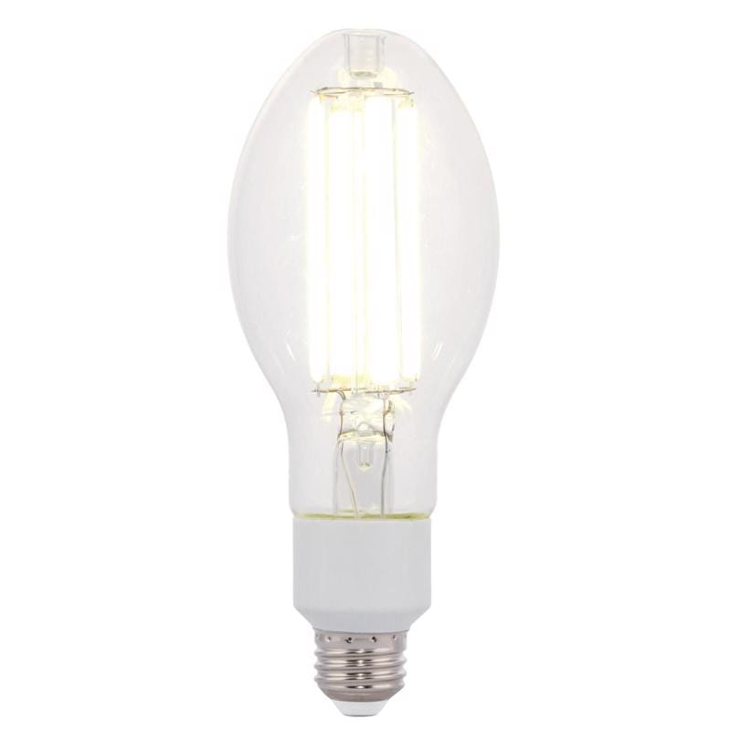 Westinghouse 5252000 ED23.5 E26 (Medium) Filament LED Bulb Daylight 200 Watt Equivalence 1 pk