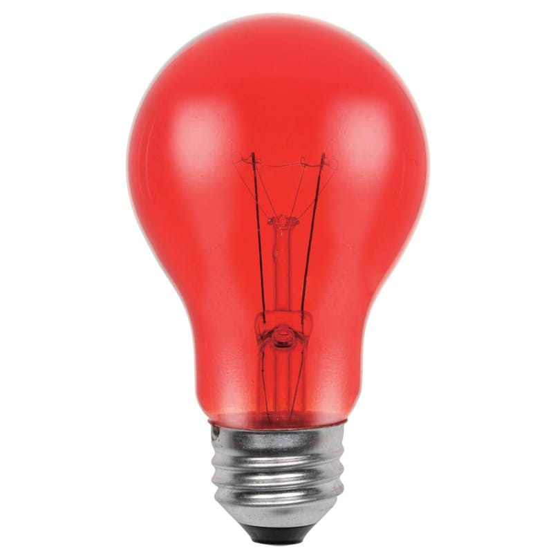 Westinghouse 0344648 25 W A19 A-Line Incandescent Bulb E26 (Medium) Red 1 pk