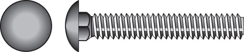 Hillman 0832518 1/4 in. X 2 in. L Stainless Steel Carriage Bolt 50 pk