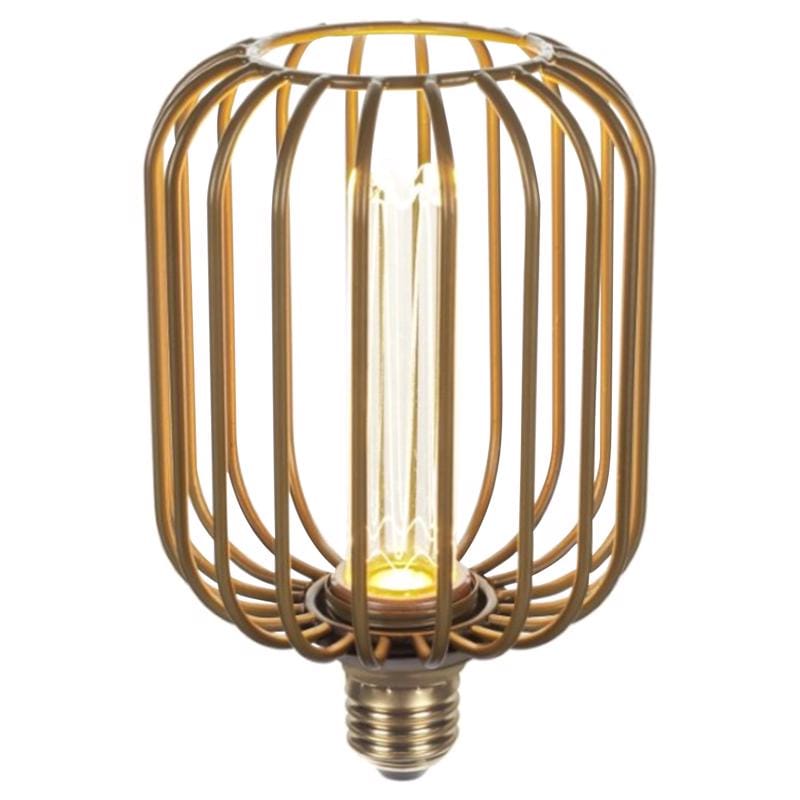 Globe Electric 16000258 Decorative E26 (Medium) LED Bulb Soft White 3 Watt Equivalence 1 pk