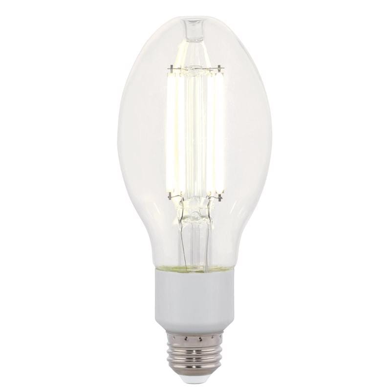 Westinghouse 5250000 ED23.5 E26 (Medium) Filament LED Bulb Daylight 125 Watt Equivalence 1 pk