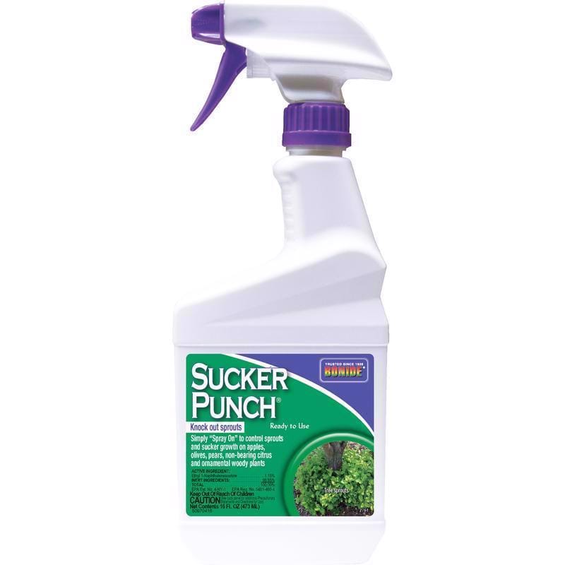 Bonide 2761 Sucker Punch Tree Roots Killer RTU Liquid 16 oz
