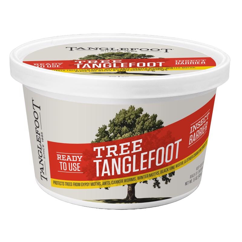 Tanglefoot TF10016 Tree Tanglefoot Insect Barrier Gel For Crawling Insects 15 oz