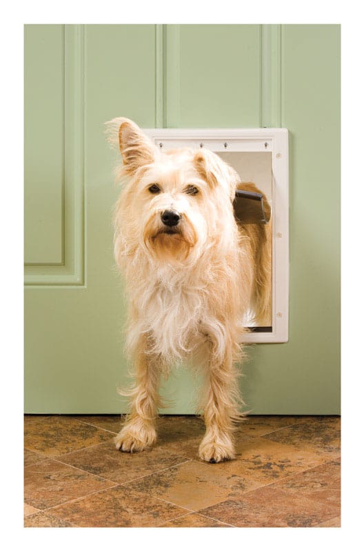 Petsafe PPA00-10959 14 in. H X 9.25 in. W Medium Plastic Pet Door
