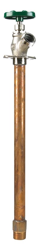 Arrowhead 455-12LF 3/4 in. MHT X 3/4 in. MIP Brass Hydrant