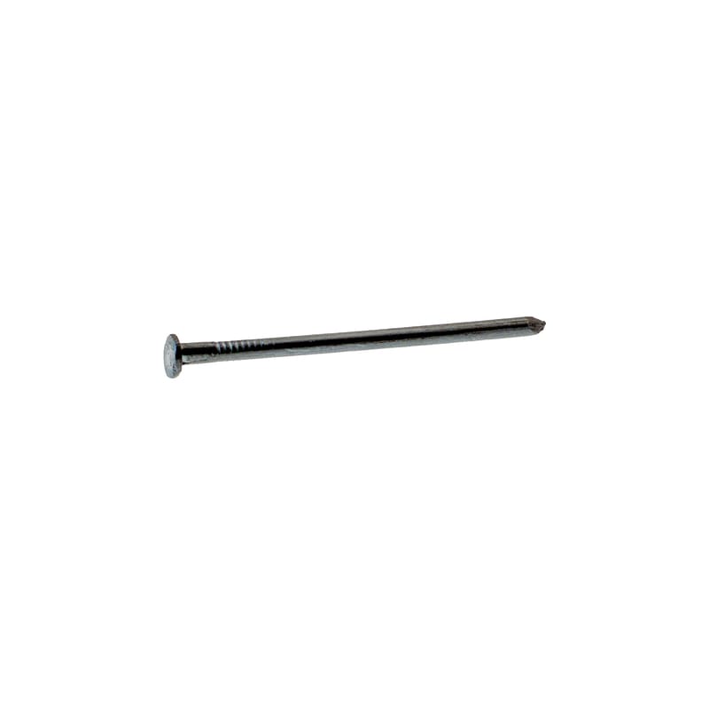 Grip-Rite 8C 8D 2-1/2 in. Common Bright Steel Nail Flat Head 50 lb