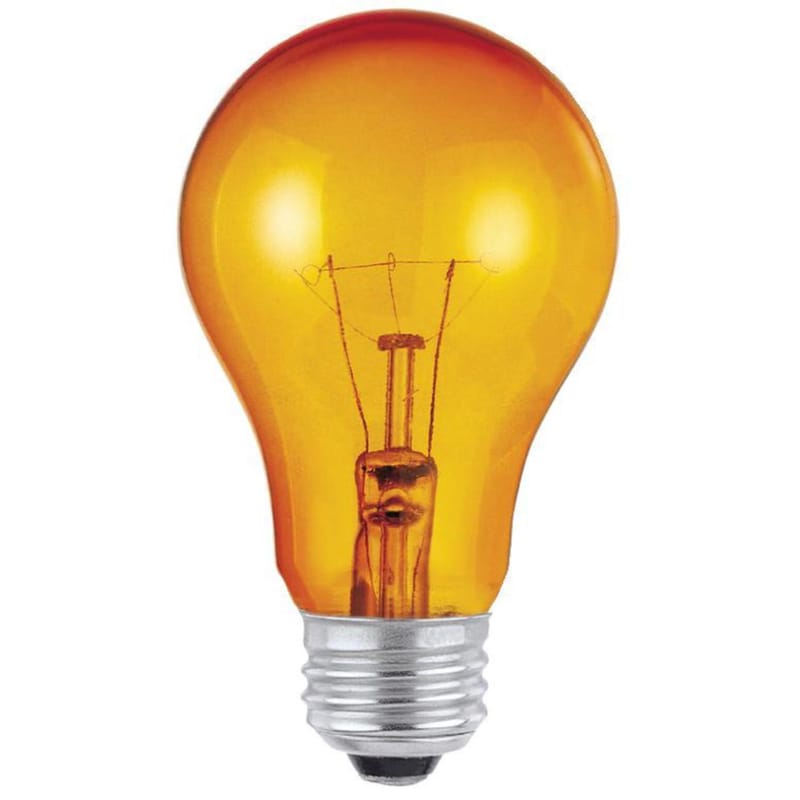 Westinghouse 0344348 25 W A19 A-Line Incandescent Bulb E26 (Medium) Amber 1 pk
