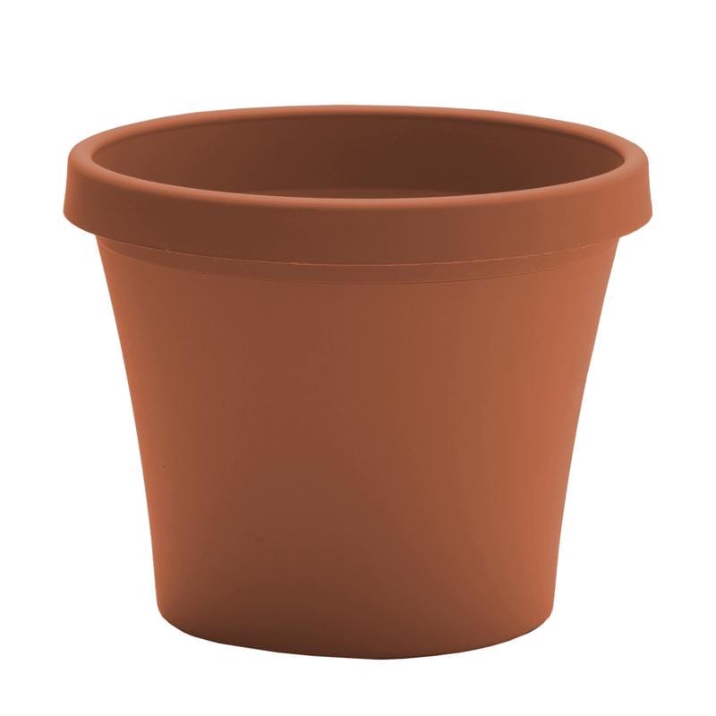 Bloem 20-50004C Terra 3.75 in. H X 4.25 in. W Resin Traditional Planter Terra Cotta