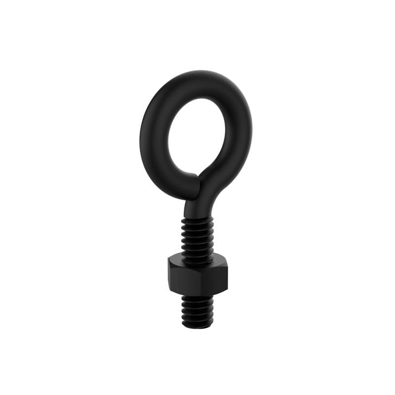 National Hardware N820-095 1/4 in. D X 2 in. L Storm Shine Steel Eye Bolt 80 lb 1 pk