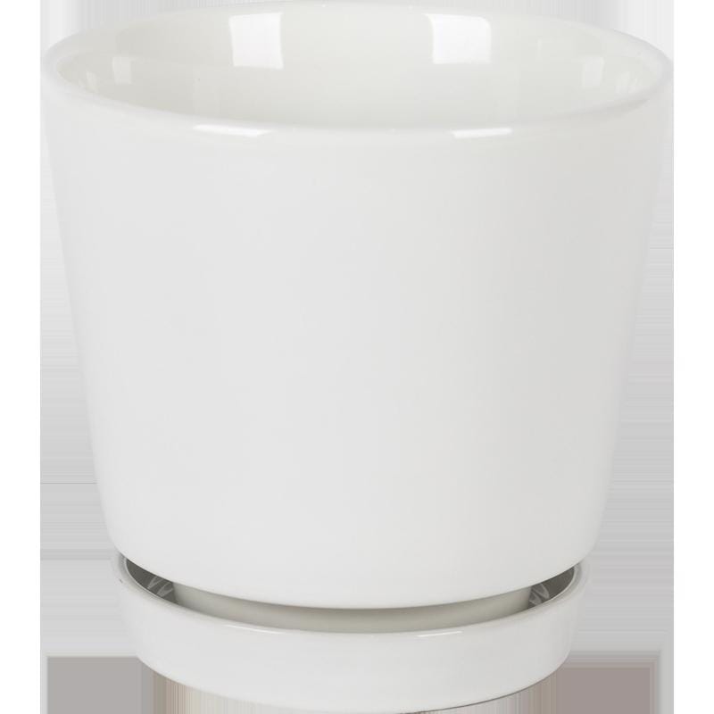 Border Concepts 533344 10 in. D Ceramic Flair Saucer Planter White