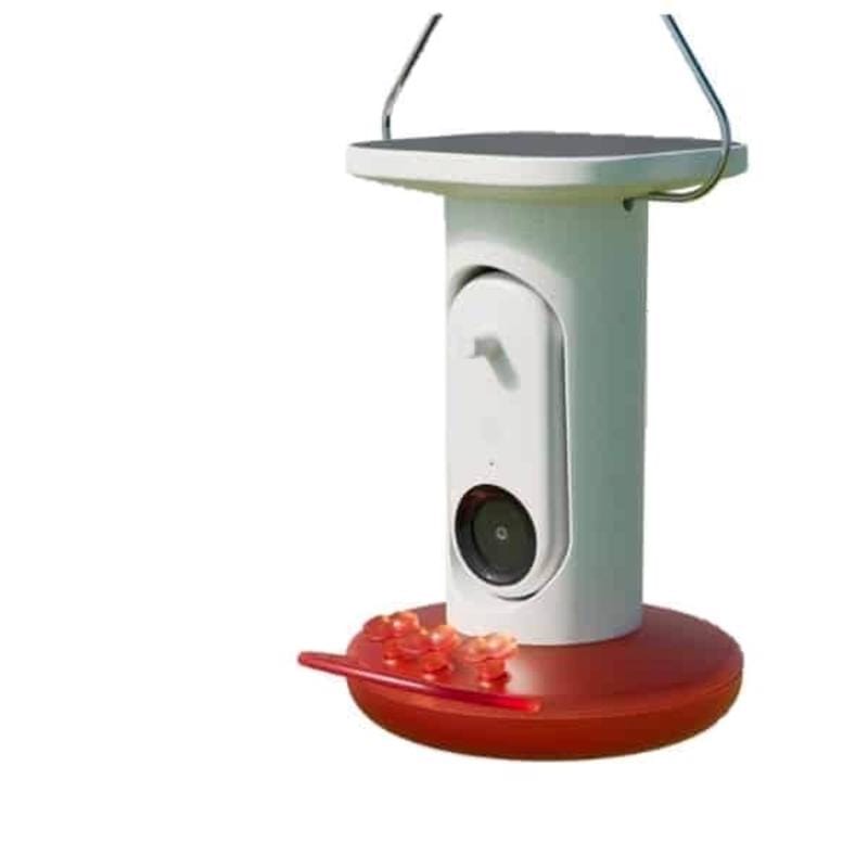 Bird Buddy BWH1025RAA Hummingbird 1.75 cups Plastic Smart-Enabled Smart Solar Camera Bird Feeder 3 ports