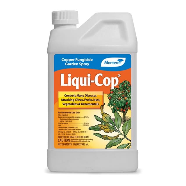 Fungus Control