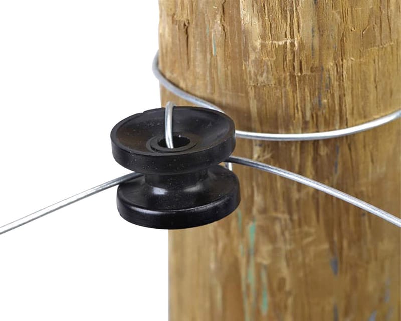 Dare 1752-10 Insultr Donut Cornr