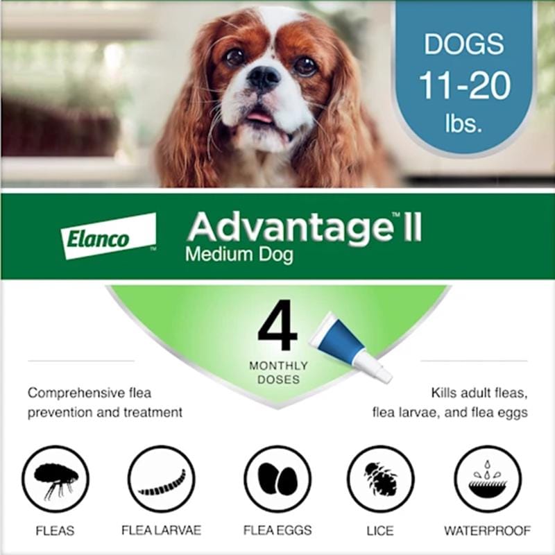 Elanco 81520267-ATD Advantage II Liquid Dog Flea Drops Imidacloprid/Pyriproxyfen 0.14 oz