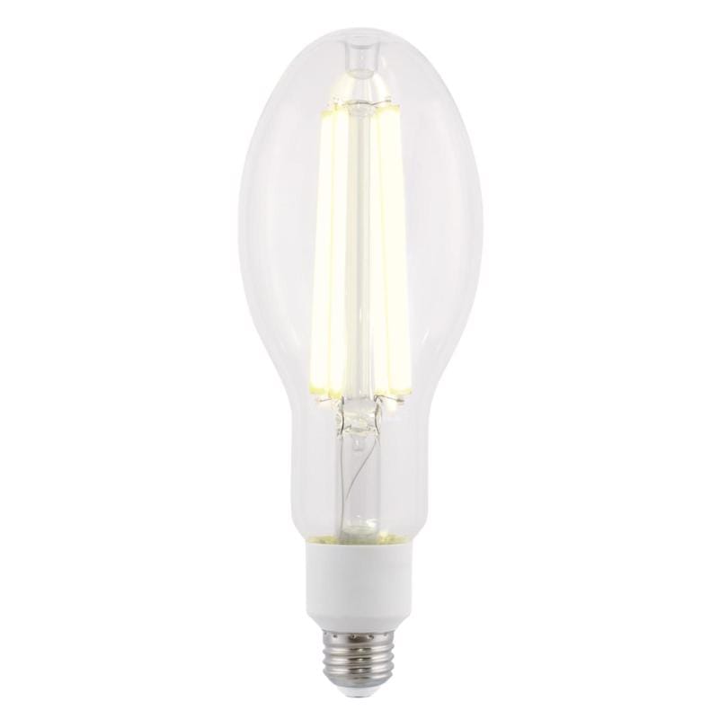 Westinghouse 5253000 ED28 E26 (Medium) Filament LED Bulb Daylight 300 Watt Equivalence 1 pk