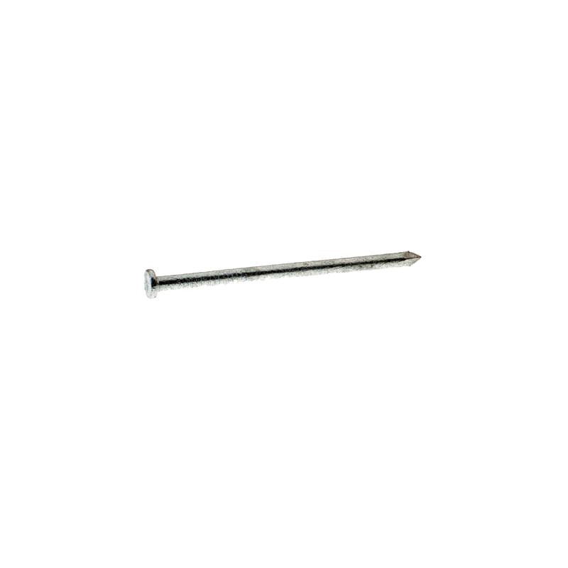 Grip-Rite 60HGC 60D 6 in. Common Hot-Dipped Galvanized Steel Nail Flat Head 50 lb