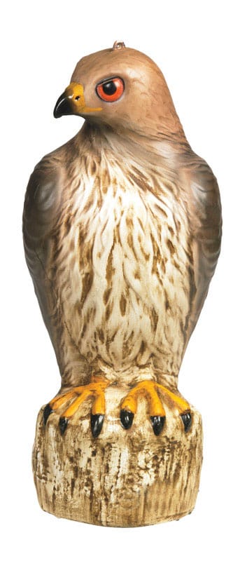 Bird-B-Gone MMRTH1 Bird Deterrent Decoy For Assorted Species 1 pk